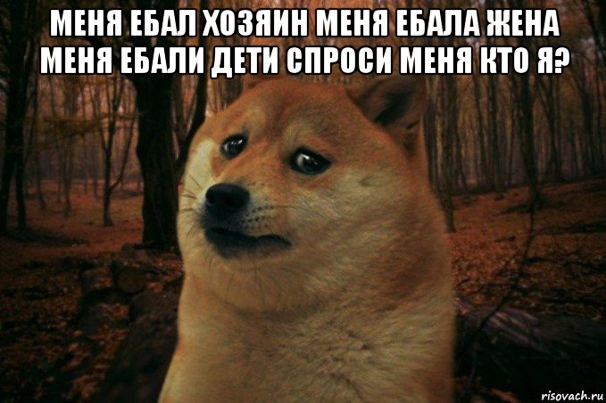 меня ебал хозяин меня ебала жена меня ебали дети спроси меня кто я? , Мем SAD DOGE