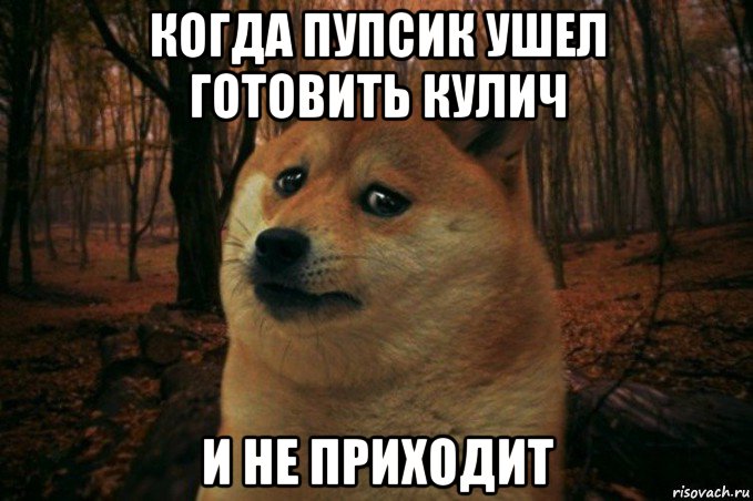 когда пупсик ушел готовить кулич и не приходит, Мем SAD DOGE