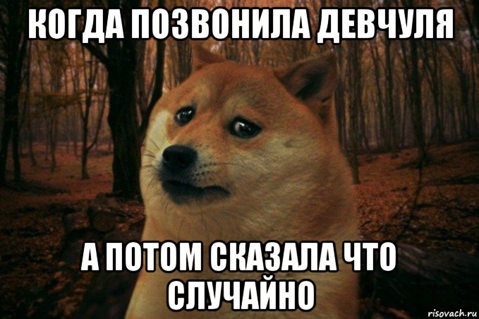 когда позвонила девчуля а потом сказала что случайно, Мем SAD DOGE