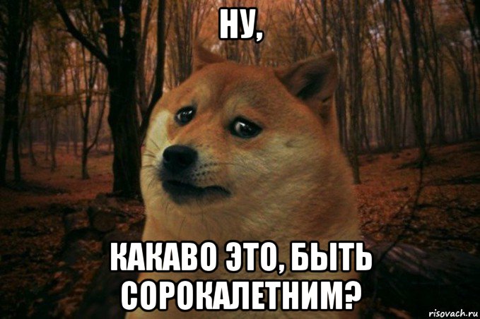 ну, какаво это, быть сорокалетним?, Мем SAD DOGE