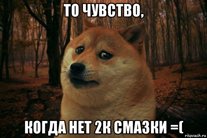 то чувство, когда нет 2к смазки =(, Мем SAD DOGE