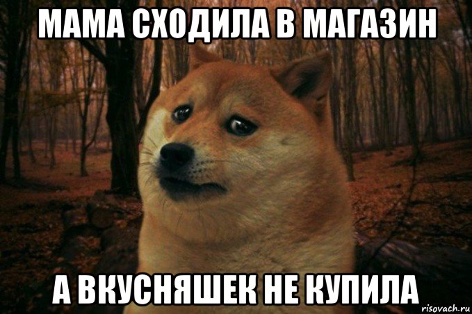 мама сходила в магазин а вкусняшек не купила, Мем SAD DOGE