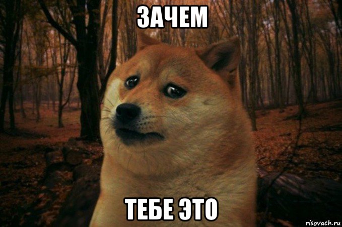 зачем тебе это, Мем SAD DOGE