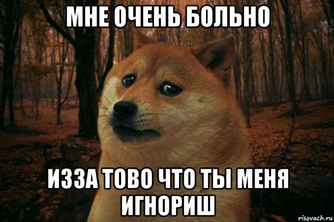 мне очень больно изза тово что ты меня игнориш, Мем SAD DOGE