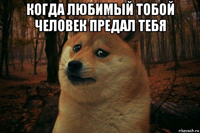 когда любимый тобой человек предал тебя , Мем SAD DOGE