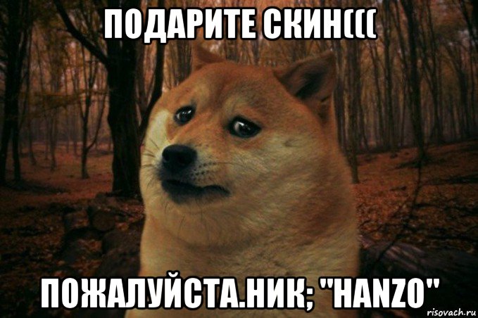 подарите скин((( пожалуйста.ник; "hanzo", Мем SAD DOGE