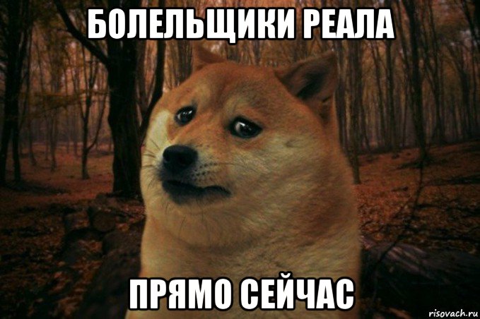 болельщики реала прямо сейчас, Мем SAD DOGE