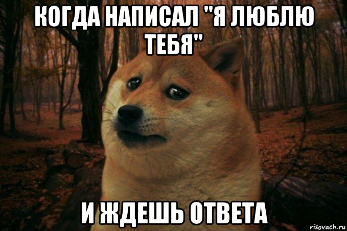 когда написал "я люблю тебя" и ждешь ответа, Мем SAD DOGE