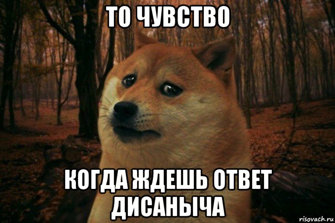 то чувство когда ждешь ответ дисаныча, Мем SAD DOGE