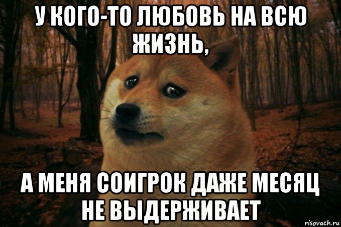 у кого-то любовь на всю жизнь, а меня соигрок даже месяц не выдерживает, Мем SAD DOGE