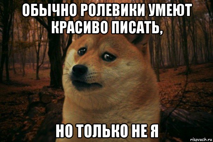 обычно ролевики умеют красиво писать, но только не я, Мем SAD DOGE