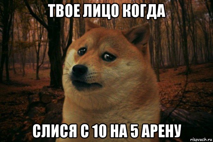 твое лицо когда слися с 10 на 5 арену, Мем SAD DOGE