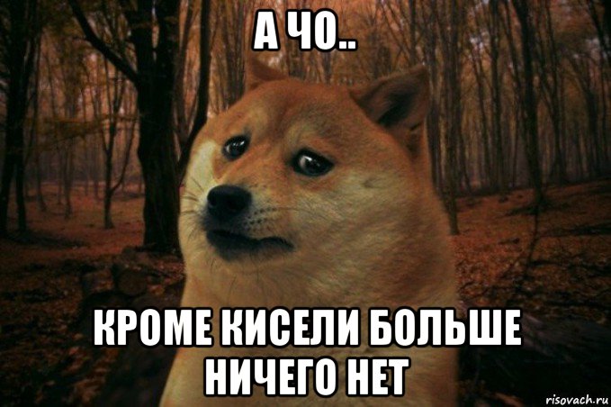 а чо.. кроме кисели больше ничего нет, Мем SAD DOGE