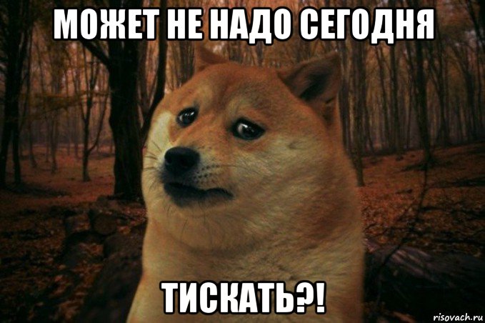 может не надо сегодня тискать?!, Мем SAD DOGE