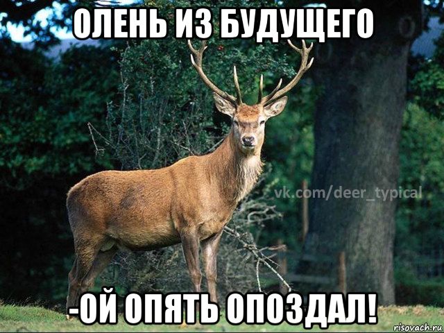 олень из будущего -ой опять опоздал!