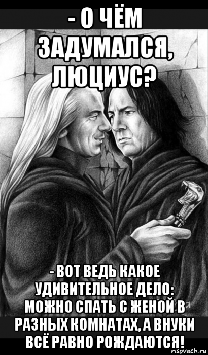 - о чём задумался, люциус? - вот ведь какое удивительное дело: можно спать с женой в разных комнатах, а внуки всё равно рождаются!, Мем Снейп