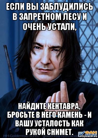 если вы заблудились в запретном лесу и очень устали, найдите кентавра, бросьте в него камень - и вашу усталость как рукой снимет.