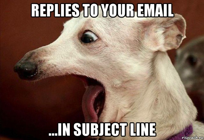 replies to your email ...in subject line, Мем  собака