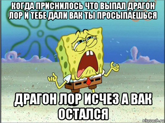 когда приснилось что выпал драгон лор и тебе дали вак ты просыпаешься драгон лор исчез а вак остался, Мем Спанч Боб плачет