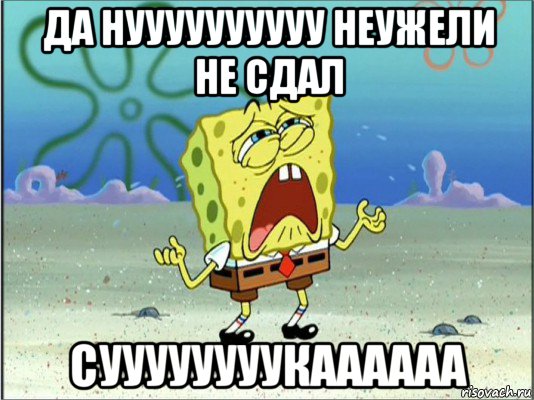 да нуууууууууу неужели не сдал суууууууукаааааа, Мем Спанч Боб плачет