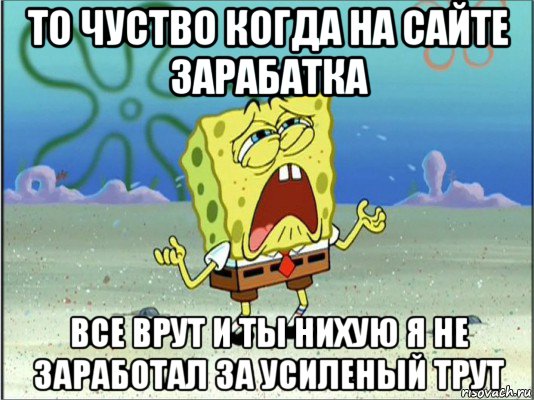 то чуство когда на сайте зарабатка все врут и ты нихую я не заработал за усиленый трут, Мем Спанч Боб плачет