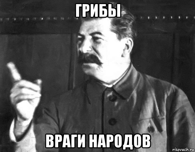 грибы враги народов, Мем  Сталин пригрозил пальцем