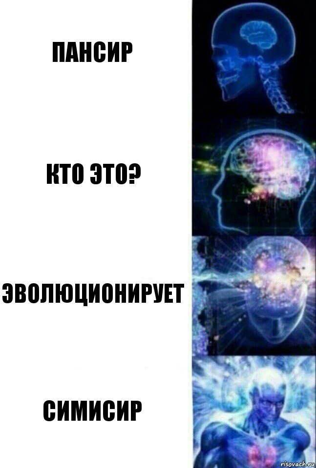 ПАНСИР КТО ЭТО? ЭВОЛЮЦИОНИРУЕТ СИМИСИР, Комикс  Сверхразум