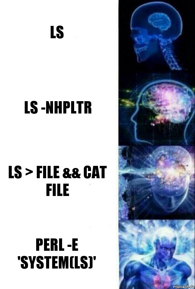 ls ls -nhpltr ls > file && cat file perl -E 'system(ls)', Комикс  Сверхразум