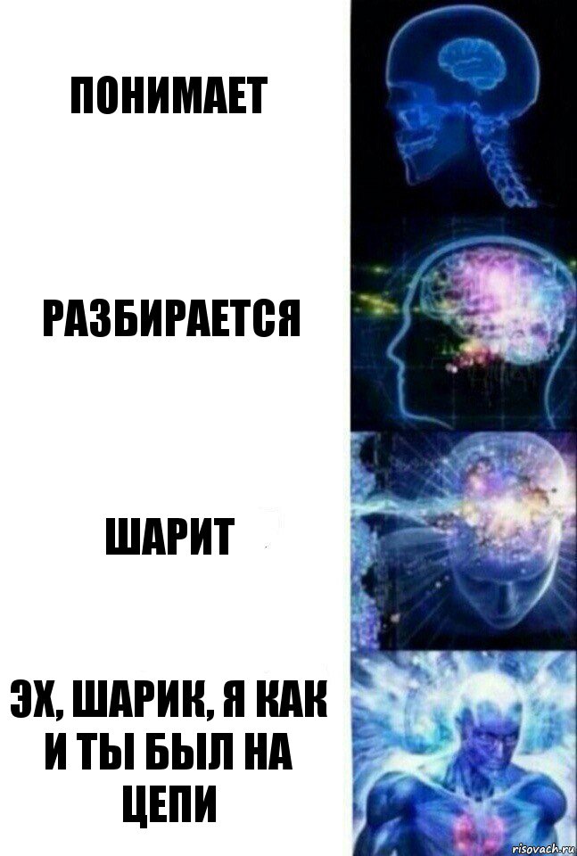 понимает разбирается шарит эх, Шарик, я как и ты был на цепи, Комикс  Сверхразум