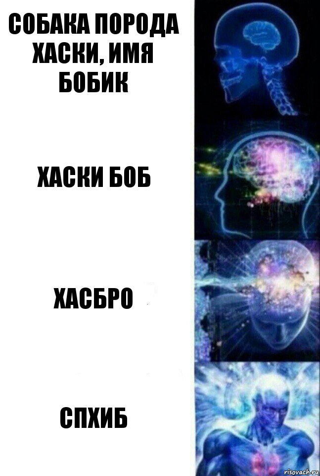 Собака порода хаски, имя бобик хаски боб хасбро спхиб, Комикс  Сверхразум