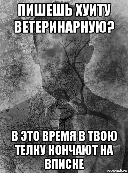 пишешь хуиту ветеринарную? в это время в твою телку кончают на вписке, Мем типичный человек безысходность