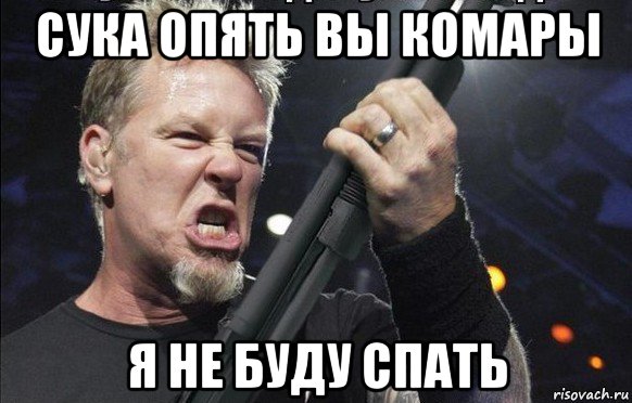 сука опять вы комары я не буду спать, Мем То чувство когда