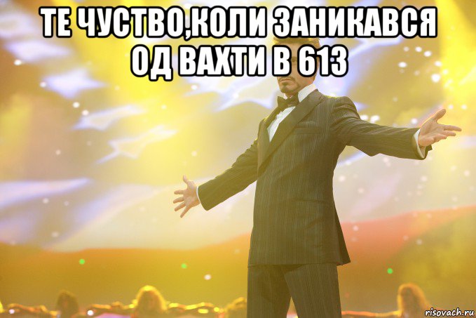 те чуство,коли заникався од вахти в 613 , Мем Тони Старк (Роберт Дауни младший)