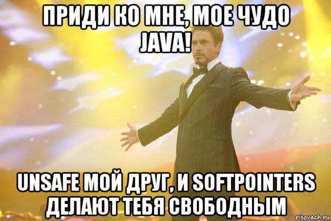 приди ко мне, мое чудо java! unsafe мой друг, и softpointers делают тебя свободным, Мем Тони Старк (Роберт Дауни младший)