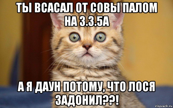 ты всасал от совы палом на 3.3.5а а я даун потому, что лося задонил??!, Мем  удивление