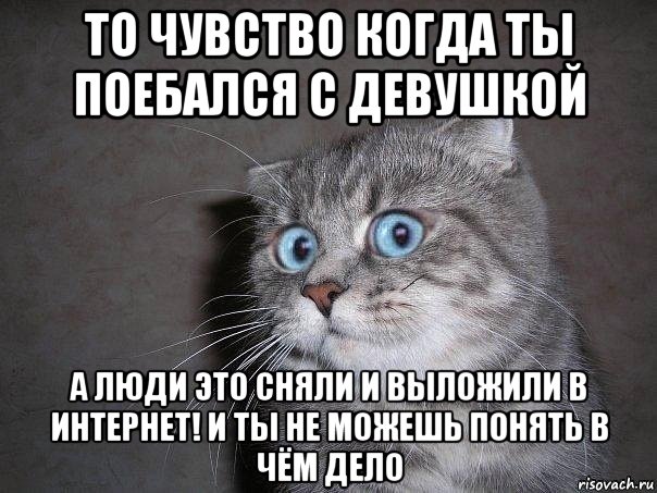 то чувство когда ты поебался с девушкой а люди это сняли и выложили в интернет! и ты не можешь понять в чём дело, Мем  удивлённый кот