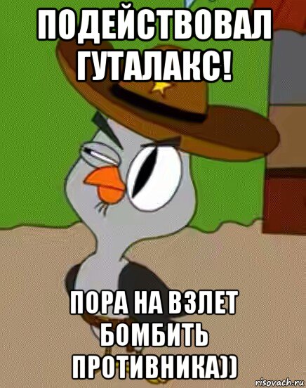 подействовал гуталакс! пора на взлет бомбить противника)), Мем    Упоротая сова