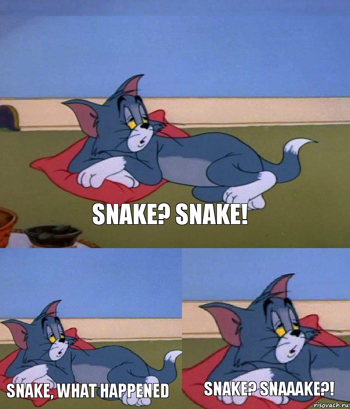 Snake? Snake! Snake, what happened Snake? Snaaake?!