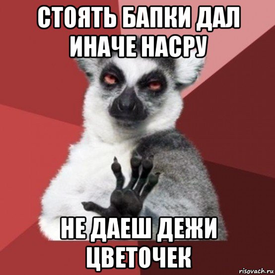 стоять бапки дал иначе насру не даеш дежи цветочек, Мем Узбагойзя