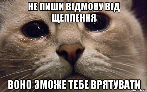 не пиши відмову від щеплення воно зможе тебе врятувати, Мем   В мире грустит один котик