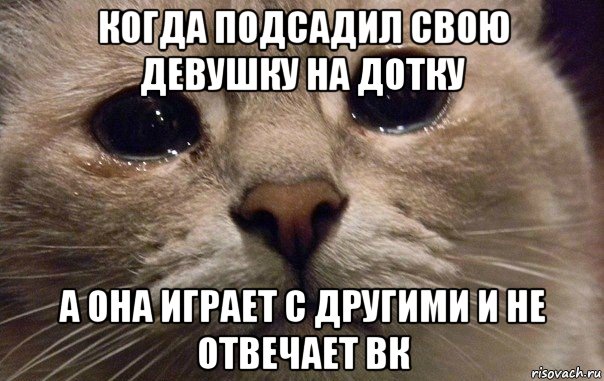 когда подсадил свою девушку на дотку а она играет с другими и не отвечает вк, Мем   В мире грустит один котик