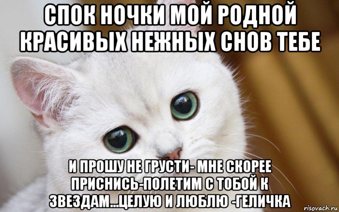 спок ночки мой родной красивых нежных снов тебе и прошу не грусти- мне скорее приснись-полетим с тобой к звездам...целую и люблю -геличка, Мем  В мире грустит один котик