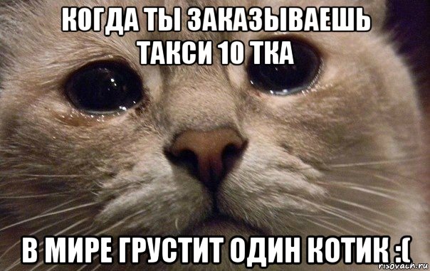 когда ты заказываешь такси 10 тка в мире грустит один котик :(, Мем   В мире грустит один котик