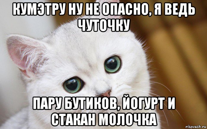 кумэтру ну не опасно, я ведь чуточку пару бутиков, йогурт и стакан молочка, Мем  В мире грустит один котик