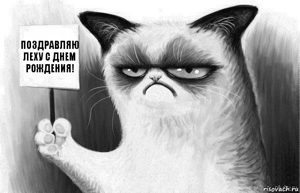 Поздравляю Леху с Днем Рождения!, Комикс Угрюмый кот с табличкой