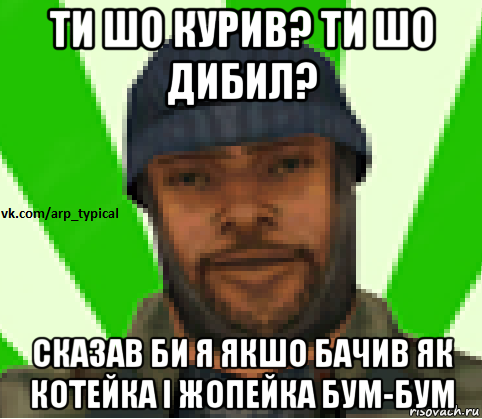 ти шо курив? ти шо дибил? сказав би я якшо бачив як котейка і жопейка бум-бум, Мем Vkcomarptypical