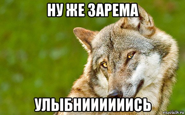 ну же зарема улыбниииииись