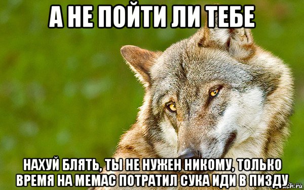 а не пойти ли тебе нахуй блять, ты не нужен никому, только время на мемас потратил сука иди в пизду, Мем   Volf