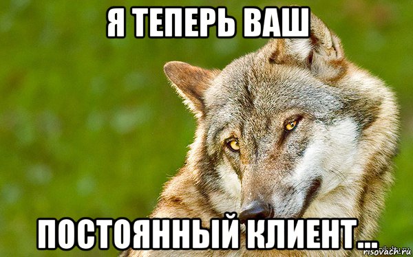 я теперь ваш постоянный клиент..., Мем   Volf