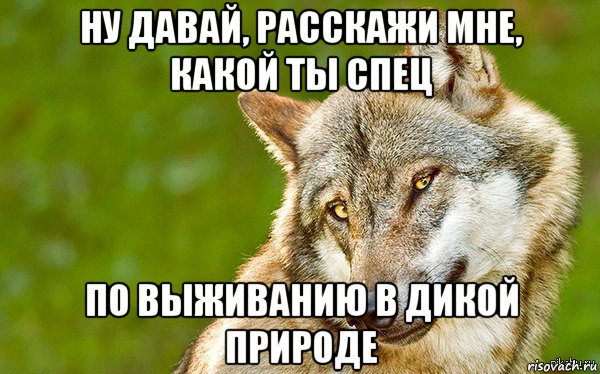 ну давай, расскажи мне, какой ты спец по выживанию в дикой природе, Мем   Volf